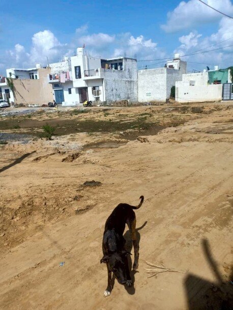 Residential plot in sohna-1