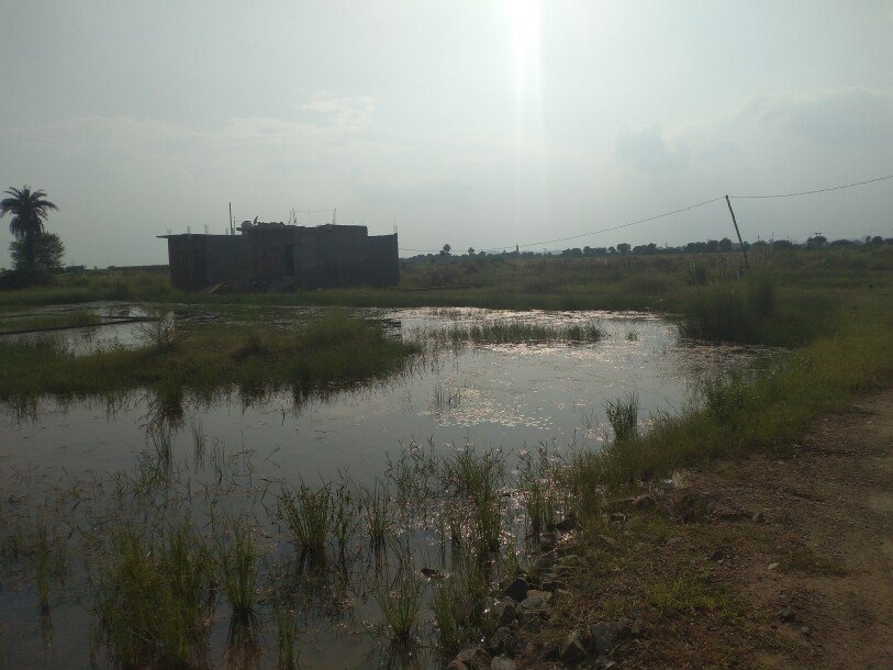 Residential plot in sohna-2